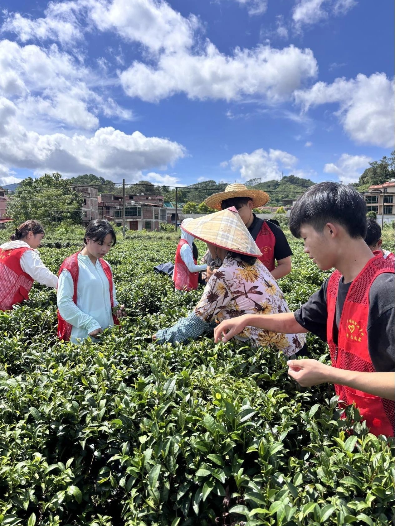 学生们跟随村民进行实地调研 学生们跟随村民进行实地调研