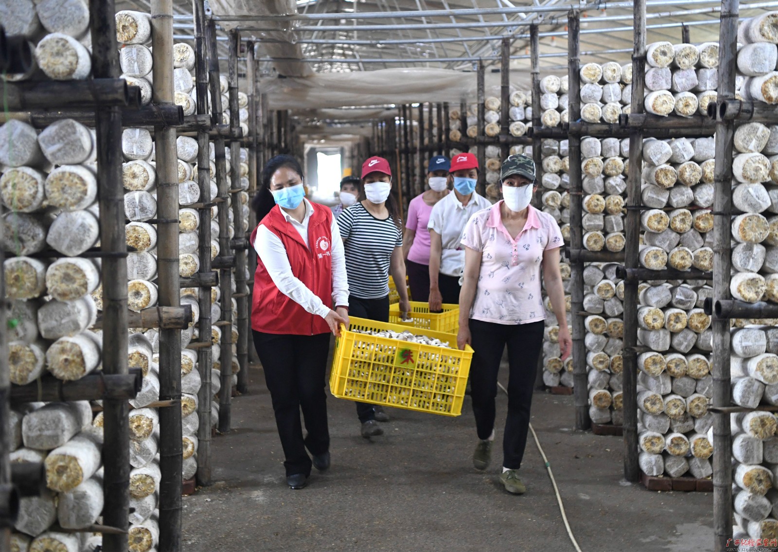 脱贫攻坚战场上的铿锵玫瑰——记全国脱贫攻坚先进个人、平乐县张家镇老埠村第一书记唐莉 脱贫攻坚战场上的铿锵玫瑰——记全国脱贫攻坚先进个人、平乐县张家镇老埠村第一书记唐莉