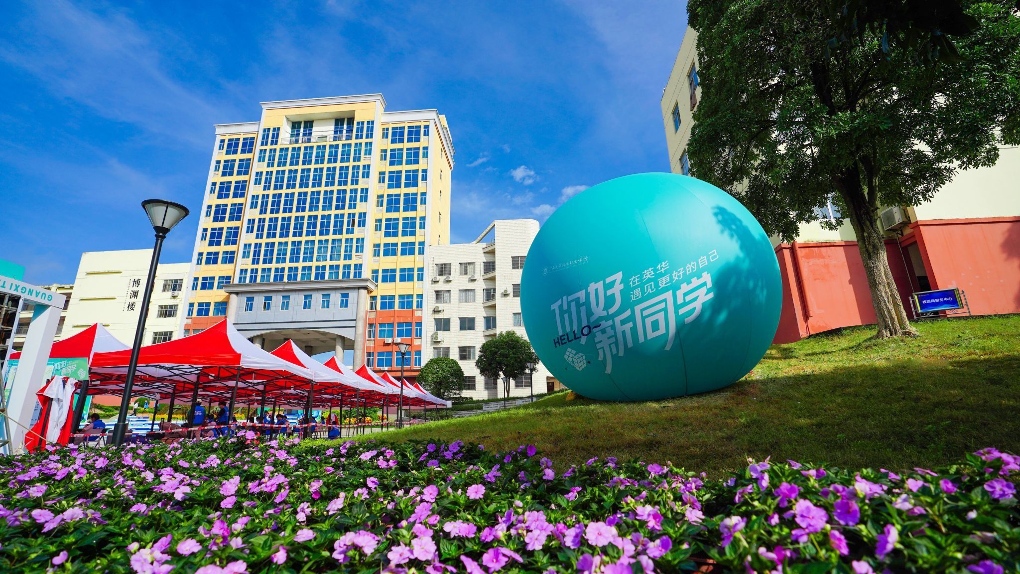 西甲联赛官网2023级迎新直播