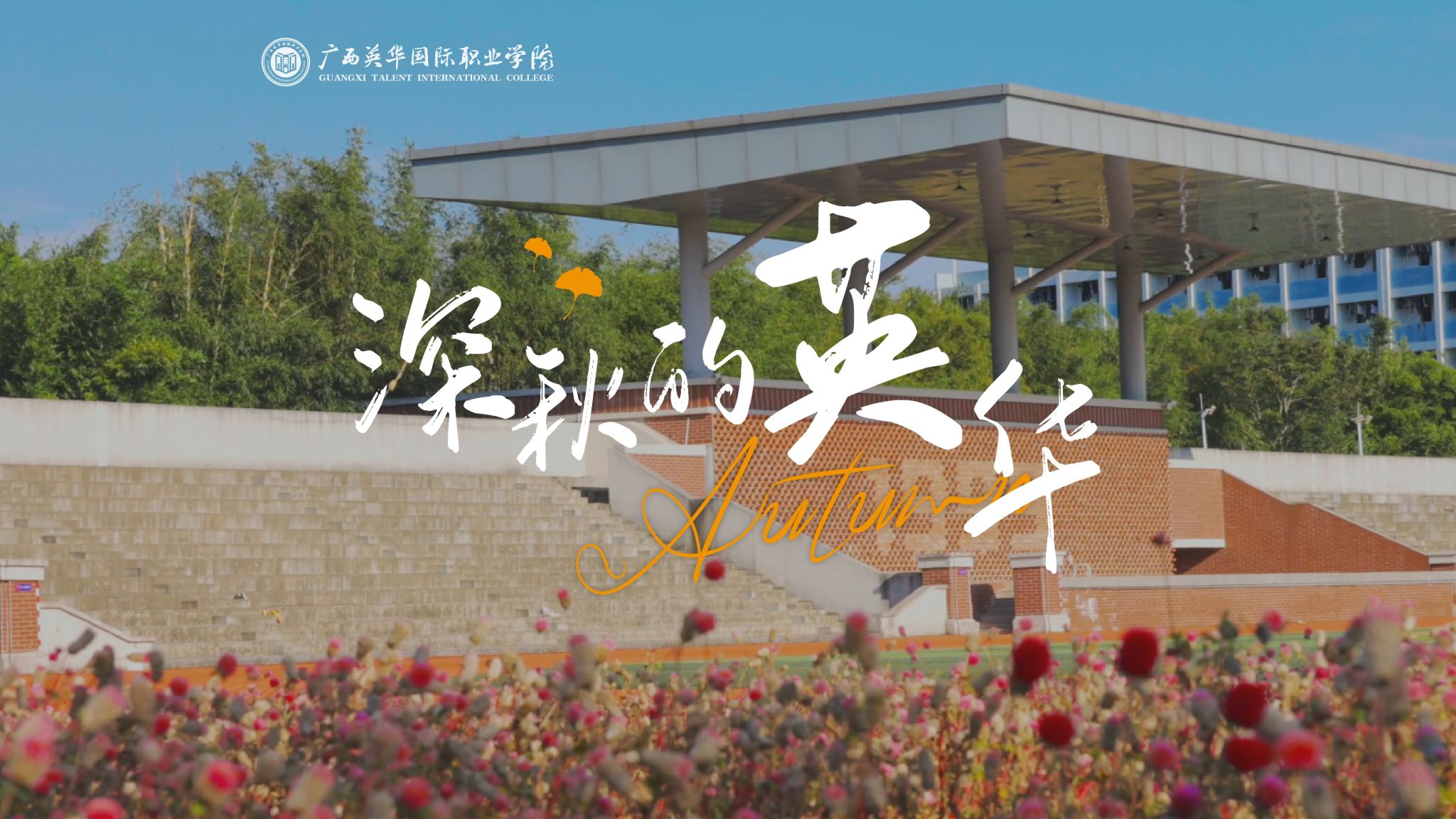 晴日漫西甲，深秋里的求学暖时光